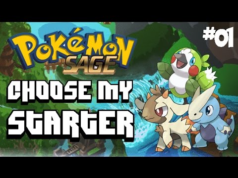 how to download pokemon sage on pc